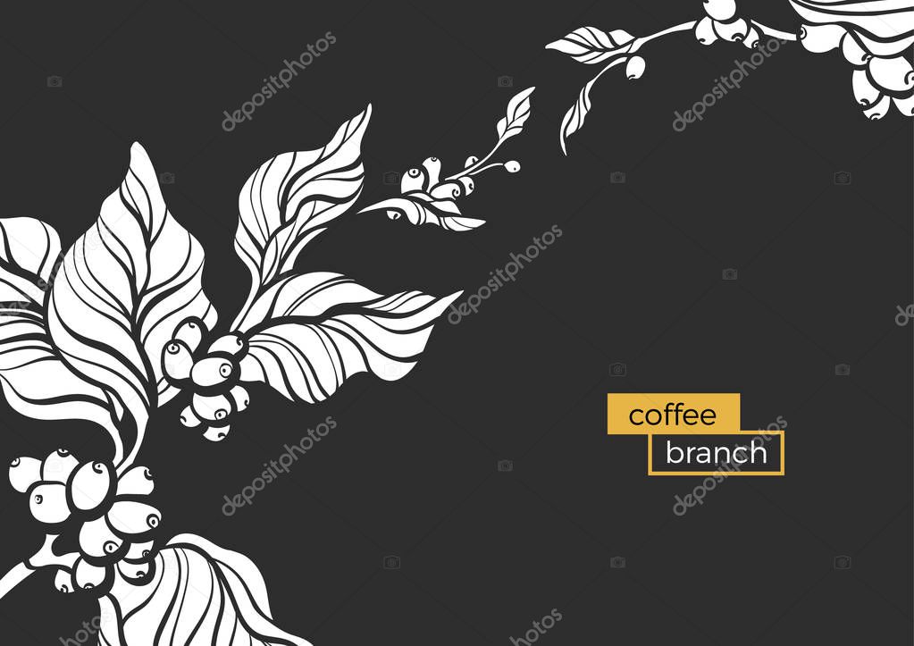 Template with white branch of coffee tree, leaves and natural coffee beans Realistic organic product Silhouette, organic shape Botanical illustration. Vector design isolated on black background eps.10