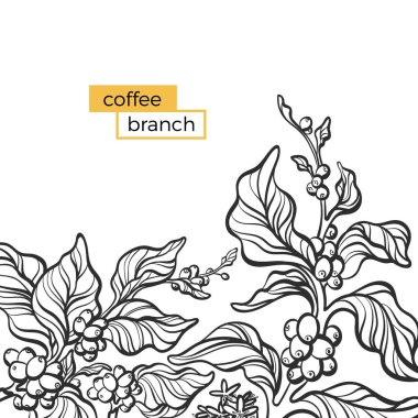 Trendy vektör zarif kahve dal, yaprak, fasulye, çiçek davetle. Beyaz arka plan doğa kart. Çiçek sanat içini kaplamak çizmek. Basit vintage şablonu. Art deco. İllüstrasyon kopya alanı el çekilmiş 