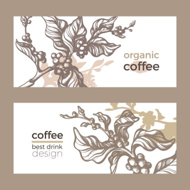 Kahve paketleme vektör çizimi. Doğa Yaprak, çiçek, fasulye ile gerçekçi organik şablon. Sanat beyaz arka plan üzerinde çizim çiçek şekil ver. Botanik doodle etiket, poster, kart. Eko gıda