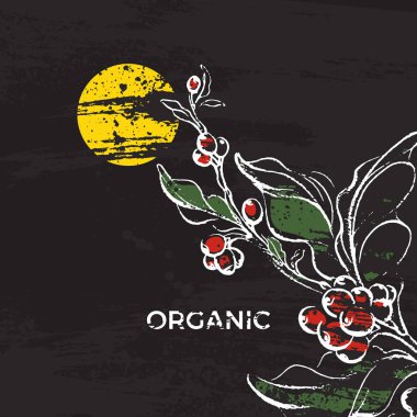 Tropic vektör şablonu. Kahve dal yaprak, fasulye, Güneş ile renk. Sanat botanik el retro resimde siyah arka plan üzerine çizin. Organik aroma içki. Etiket, poster, kart, sembol için Vintage kroki 