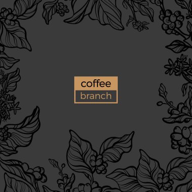 Vektör yaprak, çiçek, fasulye ile doğal kahve Şubesi egzotik şablonu. Taze organik gıda kartı. Çiçek siluet, el sanat çizgi çizin. Botanik resimde siyah arka plan üzerine. Yaratıcı doku