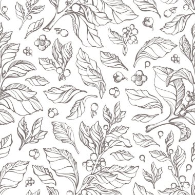 Vektör seamless modeli el dostum şube resimde çizilmiş. Gerçekçi vintage yaprak, çiçek, berry ile ayarlayın. Beyaz arka plan üzerinde çiçek retro kroki. Botanik organik gıda. Doğal Çay arka plan