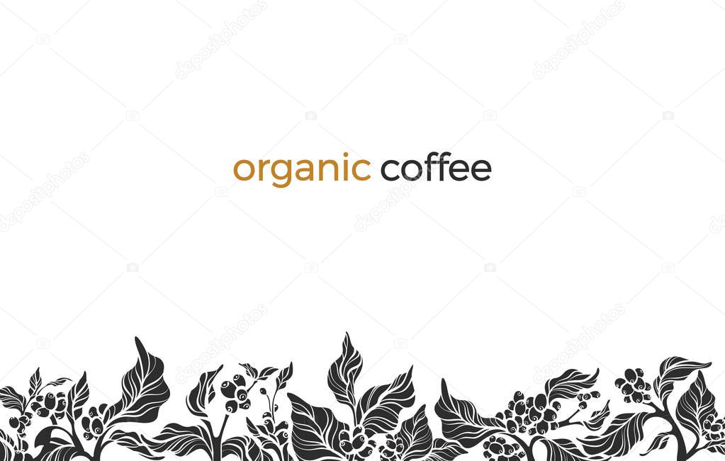 Trendy vector border with elegant coffee branch, leaf, bean, flower. Nature template on white background Floral shape silhouette design Simple frame, frieze, border Hand drawn illustration Copy space 