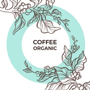 Trendy botanik şablon tasarım organik gıda. Sembol doğa kart sanat hattı yaprak, fasulye, çiçek, tahıl daire vektör doğal tropikal çizimde Exotical yazdırma çerçeve çiçek ile kahve Şubesi