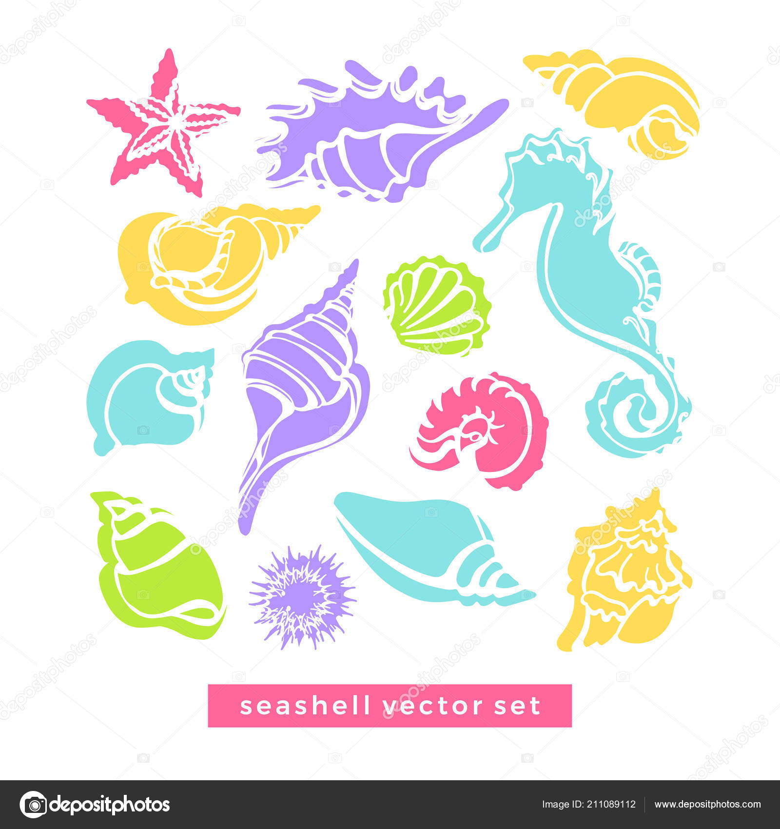 Colorful sea shells set starfish and spiral Vector Image