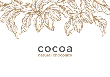 Vektör şablonu. Kakao ağacı, fasulye, berry, tahıl, meyve. Doğal çikolata afiş tatlı gıda, aroma biyo içki tasarım sanat hattı, doğa şekil kroki doodle illüstrasyon Vintage el çizilmiş grafik öğesi
