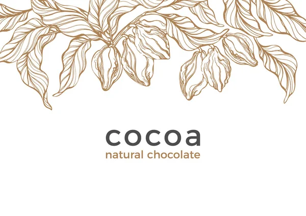 Vektör şablonu. Kakao ağacı, fasulye, berry, tahıl, meyve. Doğal çikolata afiş tatlı gıda, aroma biyo içki tasarım sanat hattı, doğa şekil kroki doodle illüstrasyon Vintage el çizilmiş grafik öğesi