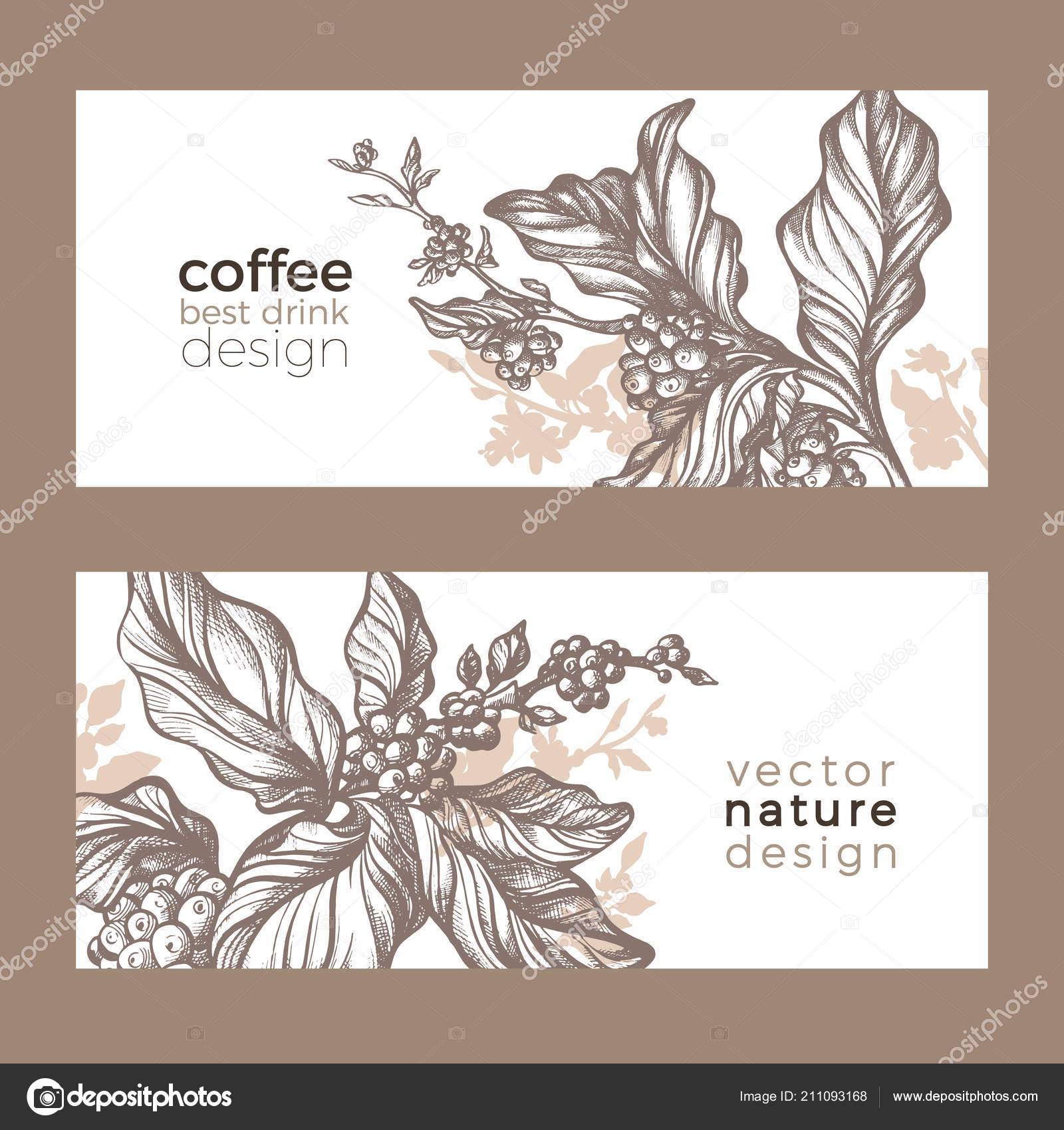 Vector Sketch Coffee Packaging Nature Realistic Organic Template Flower Stock Vector Image by ©BatikArt