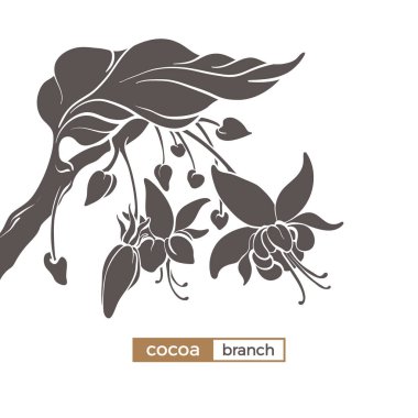 Kakao ağacı dalı yaprak ve çiçek ile vektör simgesi. Botanik el çizimi. Logo tasarımı, siluet. Gerçekçi doğa stil sembolü. Organik gıda. Siyah illüstrasyon izole beyaz arka plan üzerinde 