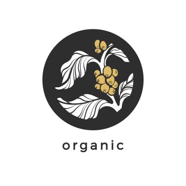 Ambalaj tasarımı için coffeeshop. Vektör doğa şablon organik amblem, dal, yaprak, fasulye, siyah arka plan tropikal vintage etiket, kart, bio sticker tahıl illüstrasyon gıda logosuna şekli