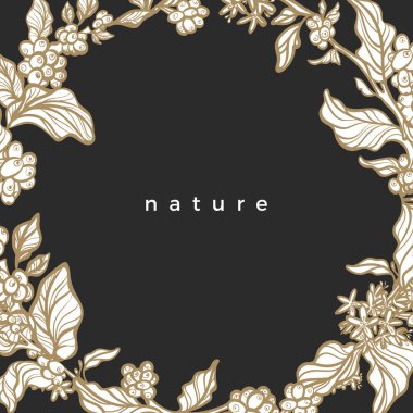 Vektör organik kartı. Zarif şablon / kahve dal, çiçek, yaprak, fasulye. Sanat şablon, çiçek kenarlık tropikal doğa çerçeve. Ambalaj, kare, lüks ürün, romantik yaz çizimde davet