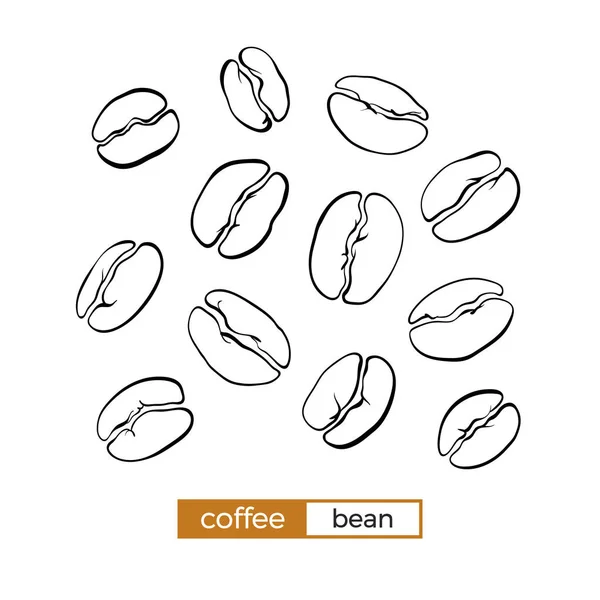 Σύνολο Από Διαφορετικές Κόκκων Καφέ Λευκό Φόντο Βιολογικά Τρόφιμα Βιο — Διανυσματικό Αρχείο