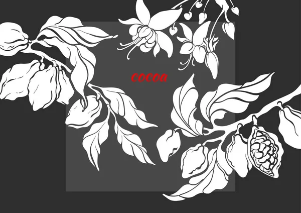 Πρότυπο Διάνυσμα Υποκατάστημα Δέντρο Κακάου Φύλλα Λουλούδια Και Φασολιών Βοτανική — Διανυσματικό Αρχείο