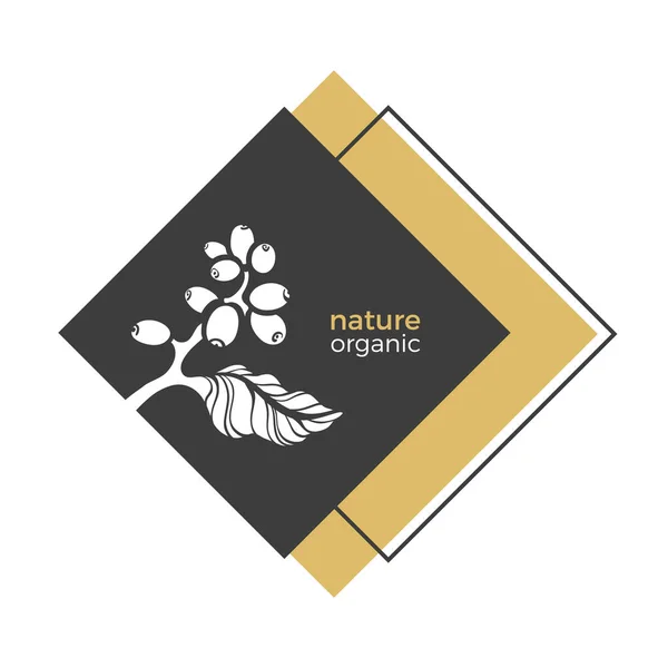 Логотип Векторной Природы Органическая Карта Элегантный Символ Кофейной Ветви Листьев — стоковый вектор