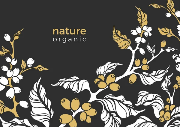 Vector Ontwerp Van Verpakking Van Koffie Natuur Realistische Organische Sjabloon — Stockvector