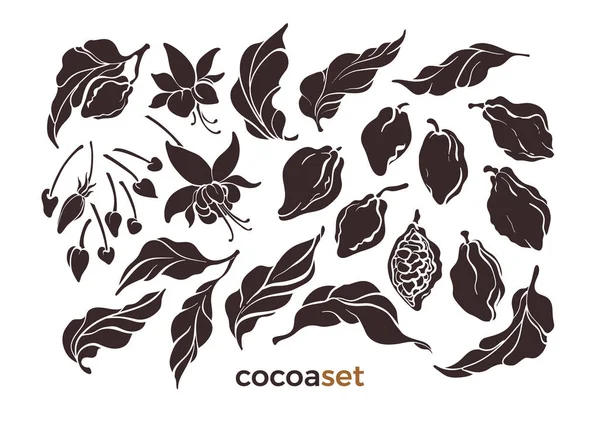 Ensemble Vectoriel Feuille Cacao Haricot Fleur Collection Forme Chocolat Groupe — Image vectorielle