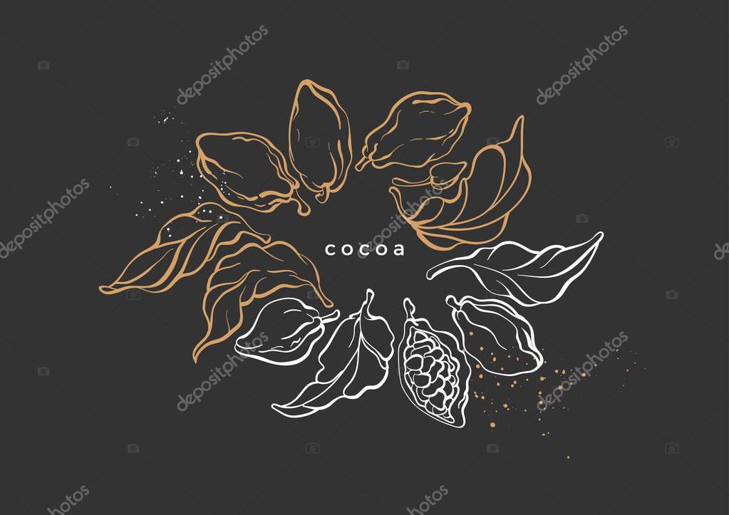 Vector graphic symbol of cocoa tree, branch, leaves, bean. Vintage hand drawn template, tropic card, sketch gold wreath Luxury illustration, aroma bio food Nature design, antique banner, natural sweet