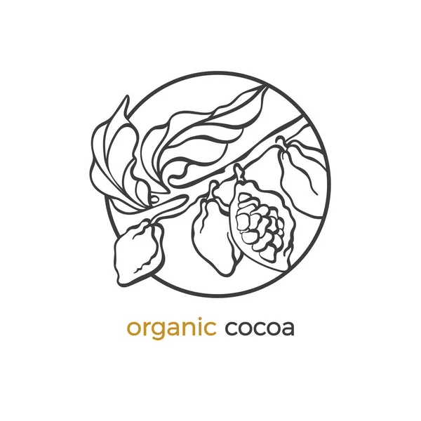 Autocollant Vectoriel Cacaoyer Logo Avec Feuilles Haricots Grains Fruits Conception — Image vectorielle