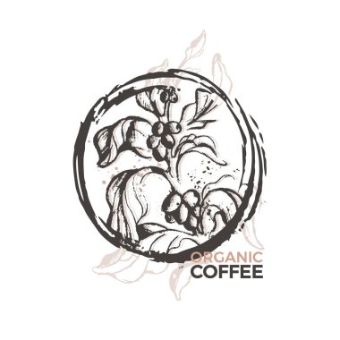 Vektör vintage kahve sembolü. Doğa taslağını ağaç, dal, doğal fasulye, doku tahıl. Sanat El çekilmiş logo çemberde, etiket. Beyaz arka plan Bio ürün, basit tasarım organik kartı, tropikal içki