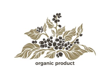 Vektör organik sembolü. Doğa dal, yaprak, berry, tahıl. Taze sağlıklı ürün doğal yeşil bitki bitkisel Eko logo grafik sanatı şekil resimde beyaz arka planda el çizmek biyo etiket kahve ağacı