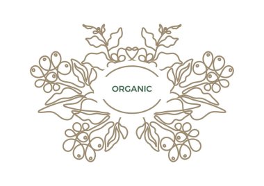 Vektör doğa logosunu görmeniz gerekir. Organik kart kahve dal, yaprak, fasulye sanat hattı dekor, vintage şablonu zarif sembolü, biyo yuvarlak sınır geometrik çerçeve çiçek plakası, basit biyo etiket doğal kahve içecek