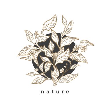 Vektör çiçek sembolü bir dairede. Doğa organik tasarım. Altın sanat hattı kroki çay bush, dal, çiçek, yaprak zarif grafik buket basit bir vintage kartı Floral el yuvarlak çerçeve çizilmiş çizimde