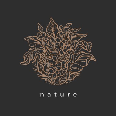 Vektör doğa sembolü Gerçekçi yaprak, çiçek, fasulye, tahıl Botanik sanat çizgi tasarımı Zarif basit işareti Organik grafik yuvarlak çerçeve Bitkisel el çizilmiş illüstrasyon Bio etiket ile daire Kahve dalı