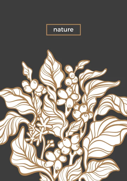 向量自然模板植物艺术线设计咖啡树与现实的叶子 五谷典雅简单的背景有机复古卡片 复古花束草药手绘生物例证 — 图库矢量图片