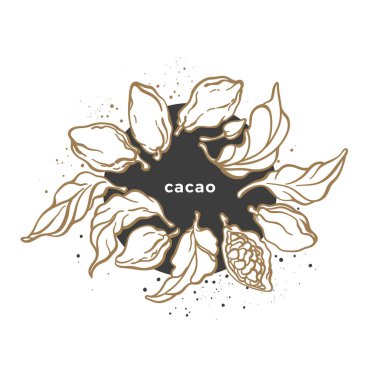 Vektör çikolata etiketi. Cacao yaprakları, daire içinde fasulye. Doğa sembolü 