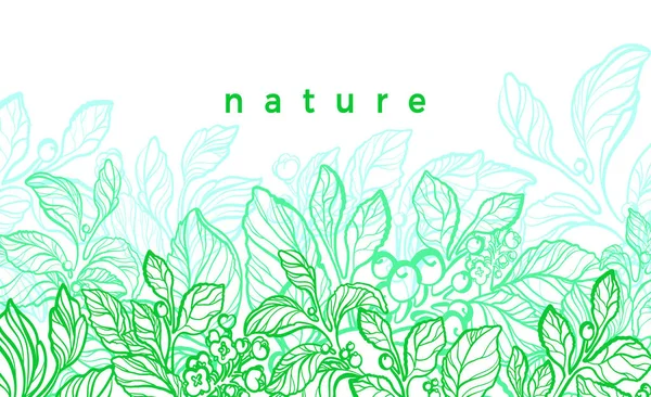 Vector natuur kaart. Grafische illustratie, botanische plant. Green mate Branch — Stockvector