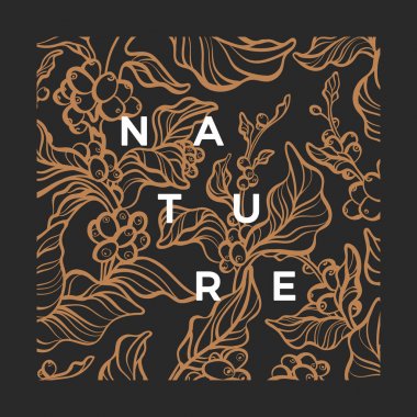 Kahve dalı. Tropikal hasat. Orman yaprakları 