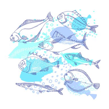 Deniz balığı. Deniz vektör arka planı. Doodle tasarımı