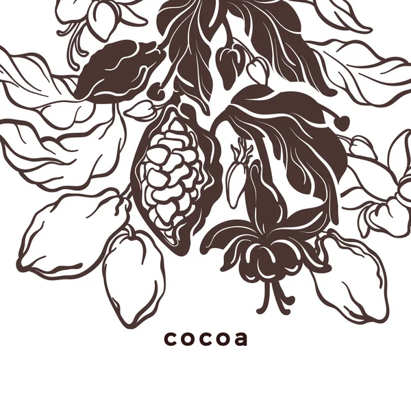 Cacao Plantationストックベクター ロイヤリティフリーcacao Plantationイラスト ページ 2 Depositphotos