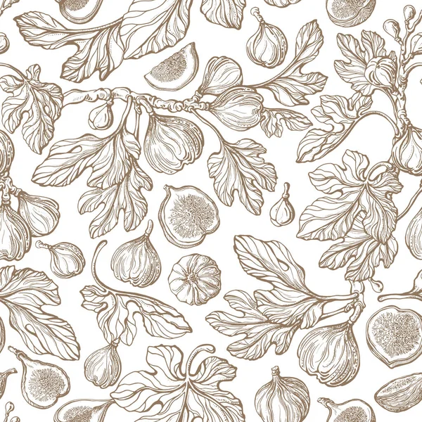 Figs Seamless Pattern Vector Antiquity Garden Vintage Tree Fruit Texture — Stock Vector