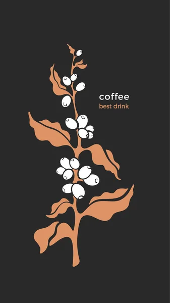 Καφές Vector Φυτό Σύμβολο Τέχνης Χρυσό Κλαδί Τροπικό Άρωμα Φασολιού — Διανυσματικό Αρχείο