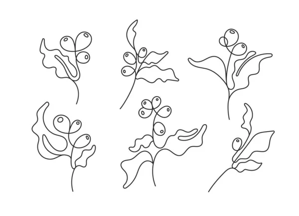 矢量艺术线条自然设置 咖啡树 抽象手绘标识 热带植物白色背景 素描收藏 生物简单打印 — 图库矢量图片