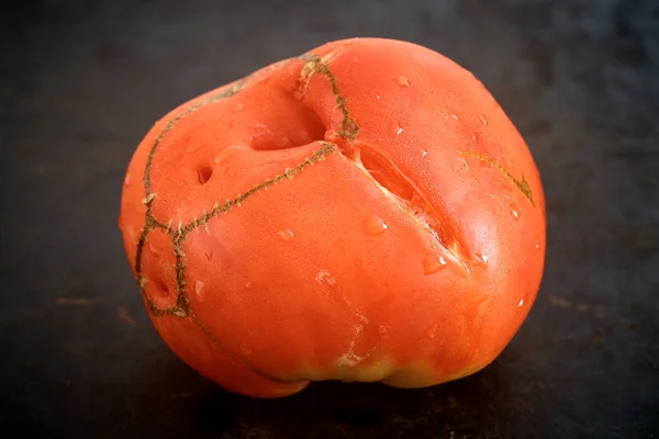 Grande tomate mûre — Photo
