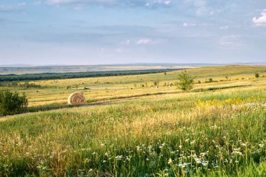 alan çayır bulutlar yaz