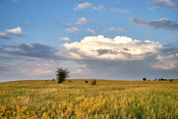 Pole łąka chmury lato — Zdjęcie stockowe