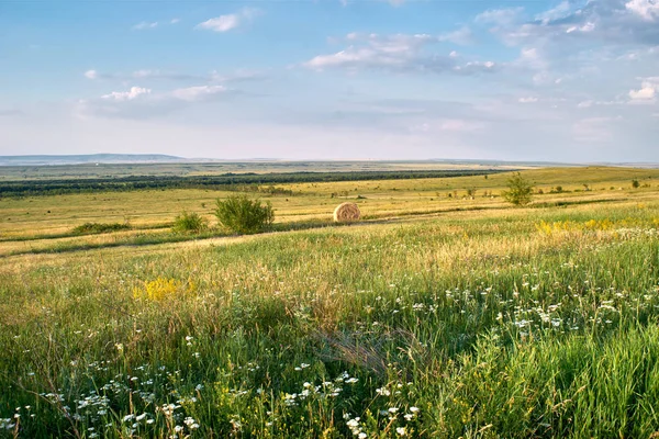 Польові лугові хмари літо — стокове фото