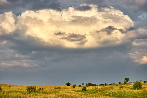 Pole łąka chmury lato Zdjęcie Stockowe