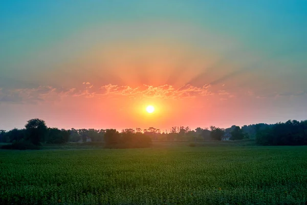 Zachód słońca w polu — Zdjęcie stockowe
