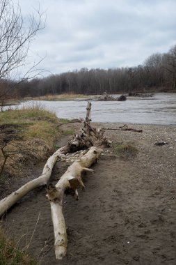 Kuban Nehri erken bahar
