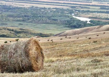alan saman perspektif hills alır.