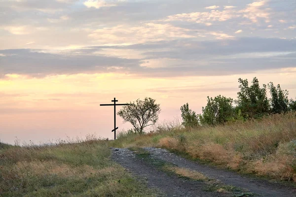 yaz çim tesisi yakın çekim