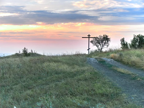 Літня рослина крупним планом — стокове фото