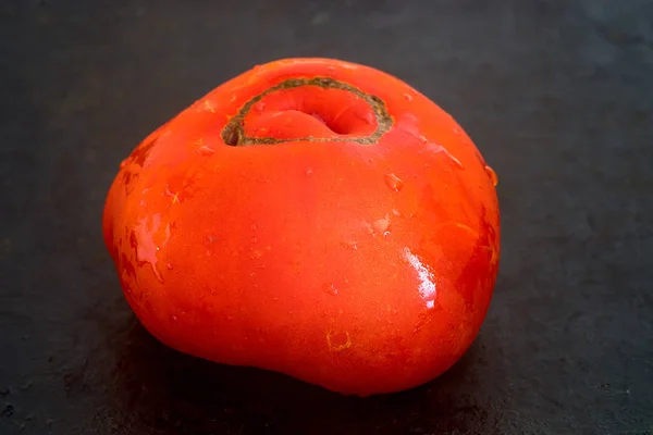 Tomate rouge sur noir — Photo