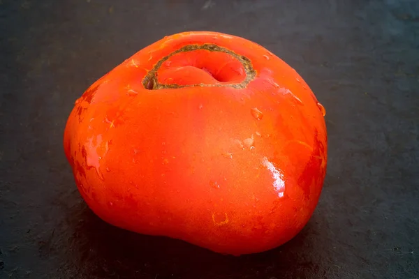 Tomate rouge sur noir — Photo