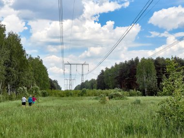Yaz, taze yeşil çimen, alan, orman, güç enerji nakil direkleri         