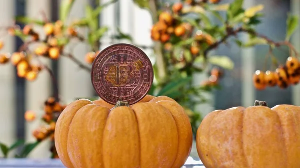 Digital currency physical metal bitcoin coin. Halloween cryptocurrency concept.